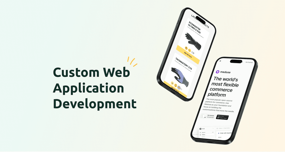 Custom Web Application Development